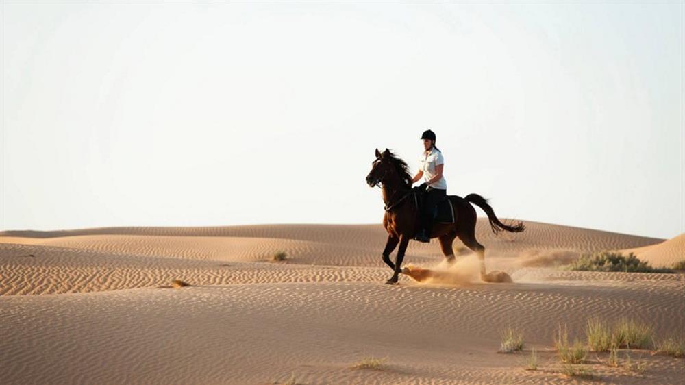 Al Maha Desert Resort